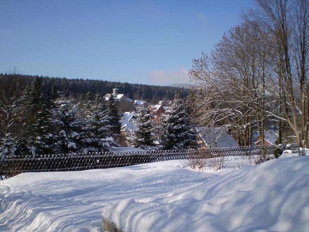 Ferienhaus Harzidyll Ширке Стая снимка